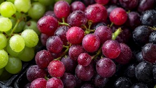 多彩葡萄 新鲜欲滴的美味