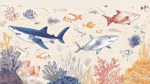 海底鲨鱼与多彩鱼类景象