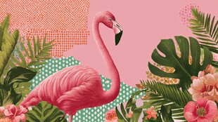 粉色火烈鸟的热带植物世界