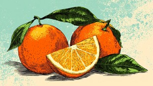 手绘鲜橙 饱满多汁的诱惑