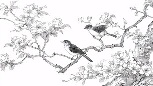 双鸟栖花枝黑白线描画