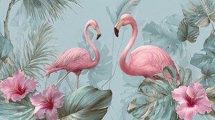 双火烈鸟漫步于花卉绿植间