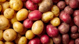 多彩土豆堆叠的视觉盛宴