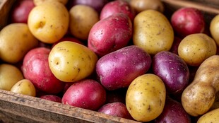 多彩土豆盛放木盒中