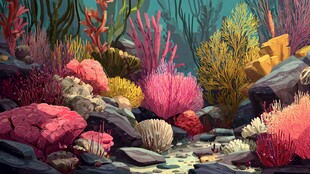 海底多彩珊瑚礁景观