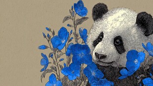 熊猫与蓝花的温馨画面