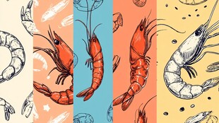 手绘多彩鲜虾图案插画