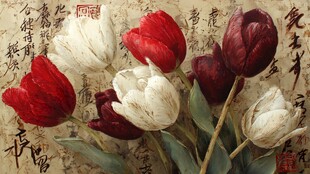 古典背景下的多彩郁金香