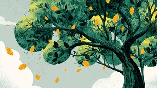 秋日落叶树插画意境唯美