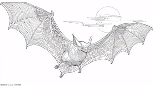 蝙蝠月夜展翅飞翔图