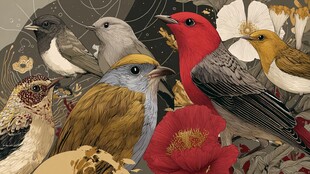 多彩鸟类与花卉的和谐画面