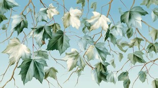 蓝天下的翠绿藤蔓叶片