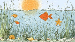 海底世界的阳光与鱼儿