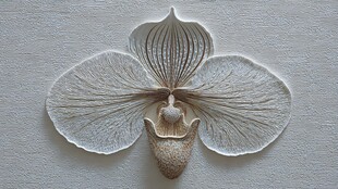 白色立体兰花艺术雕刻作品