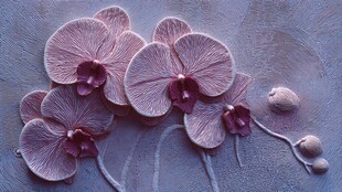 紫韵蝴蝶兰精致微距特写