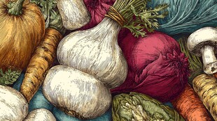 手绘多彩蔬菜集合