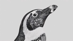 黑白装饰风企鹅头部特写