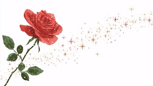 梦幻红玫瑰与闪烁星光