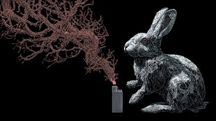 兔子与火柴的奇幻光影画面