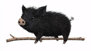 黑毛小猪站在树枝上