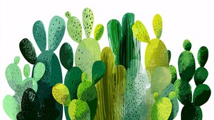 清新手绘风多彩仙人掌群