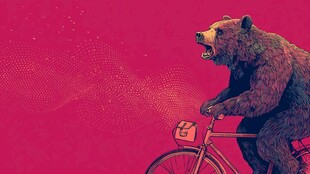 骑车的熊 奇幻动物插画