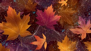 梦幻秋叶星空背景图