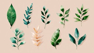 手绘多彩叶片装饰素材