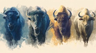 水彩风格四野牛奔腾图