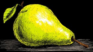 手绘黄绿色梨子静物图