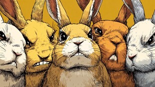 五只表情各异的兔子