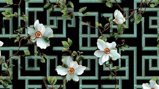 中式花卉几何图案背景图