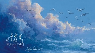 碧海蓝天飞鸟壮阔美景