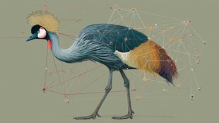 灰冕鹤的科技风艺术呈现