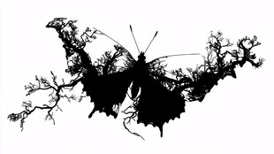 蝶形树枝剪影艺术图案