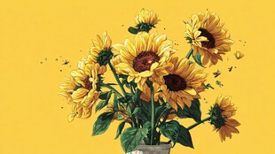 黄色背景下的向日葵花束