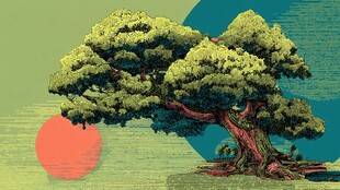 水墨风古松与红日图景