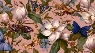 花卉蝴蝶精美图案纹理