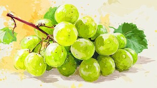 晶莹绿葡萄 清新水彩风