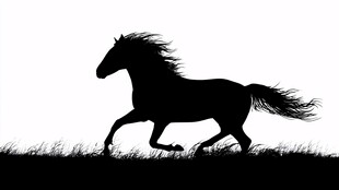 奔跑的骏马剪影