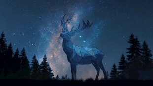 梦幻星空下的几何轮廓麋鹿