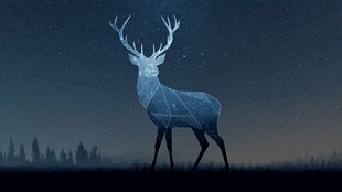 梦幻星空下的几何轮廓麋鹿