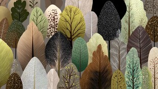 多彩叶片插画 自然风背景