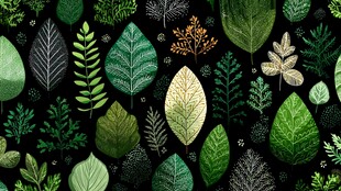 1 多样绿叶组成的精美图案