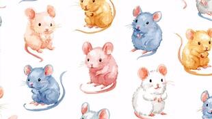 可爱水彩小老鼠图案