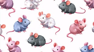 可爱水彩小老鼠图案