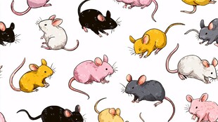 多彩老鼠图案无缝背景图