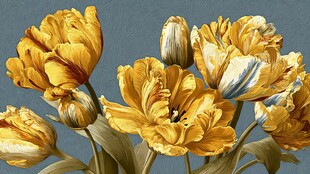 黄色郁金香花卉静物画