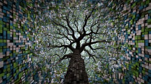 树影斑驳的马赛克空间