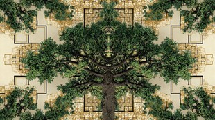 对称奇幻树景艺术画面